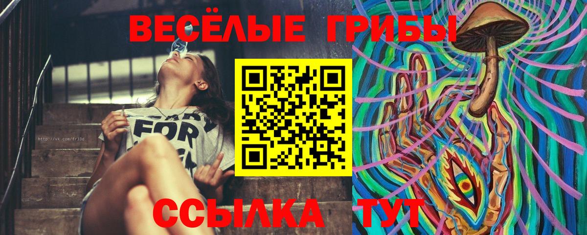 Псилоцибиновые грибы ЛСД Ленинск-Кузнецкий