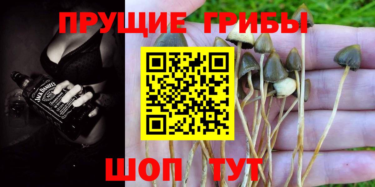 Псилоцибиновые грибы MAGIC MUSHROOMS  Вход с VPN  Ленинск-Кузнецкий 